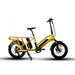 Eunorau G30-Cargo Electric Bike