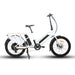 Eunorau Max-Cargo 2.0 Electric Bike